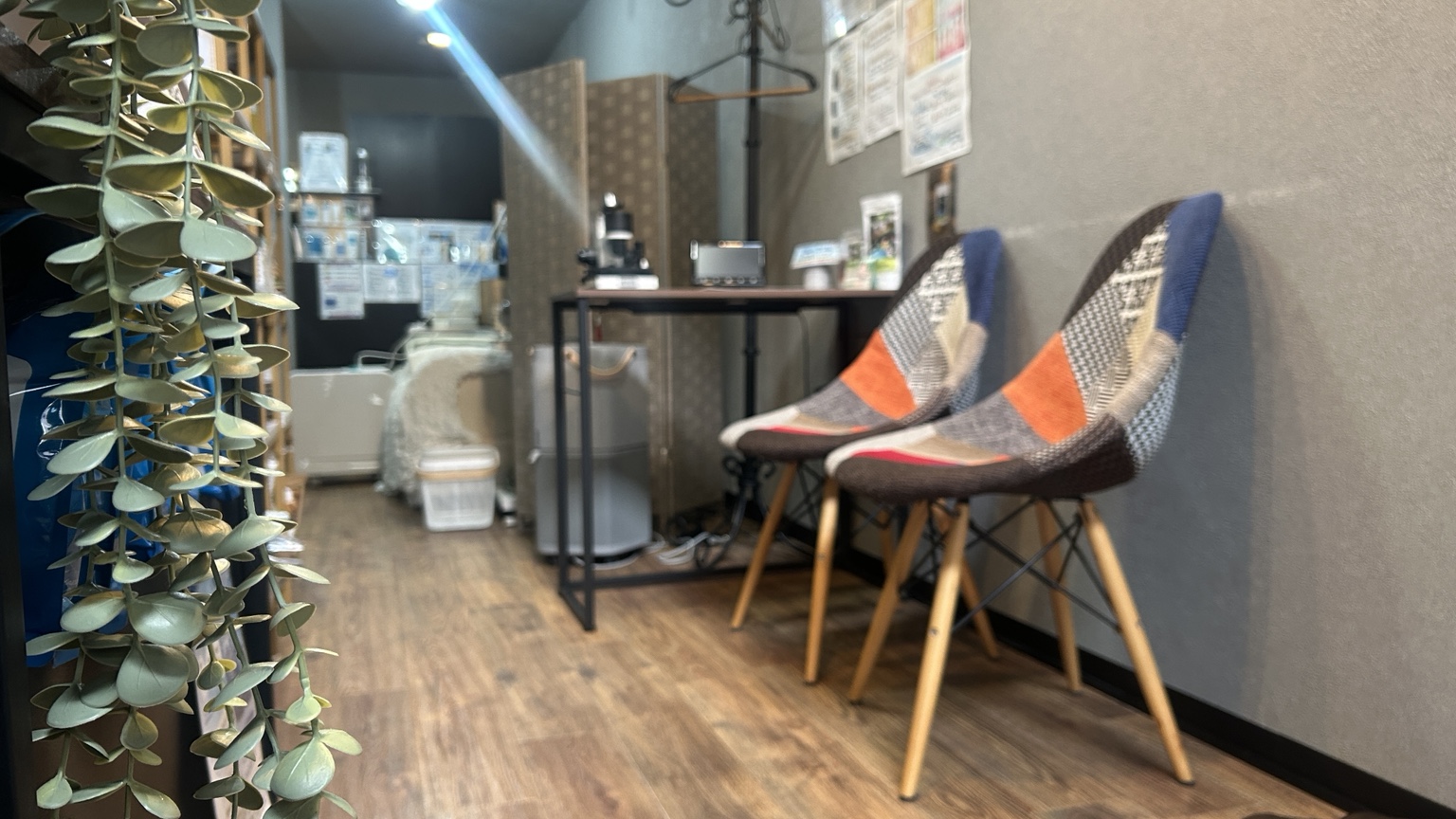 サロン入口から見た店内